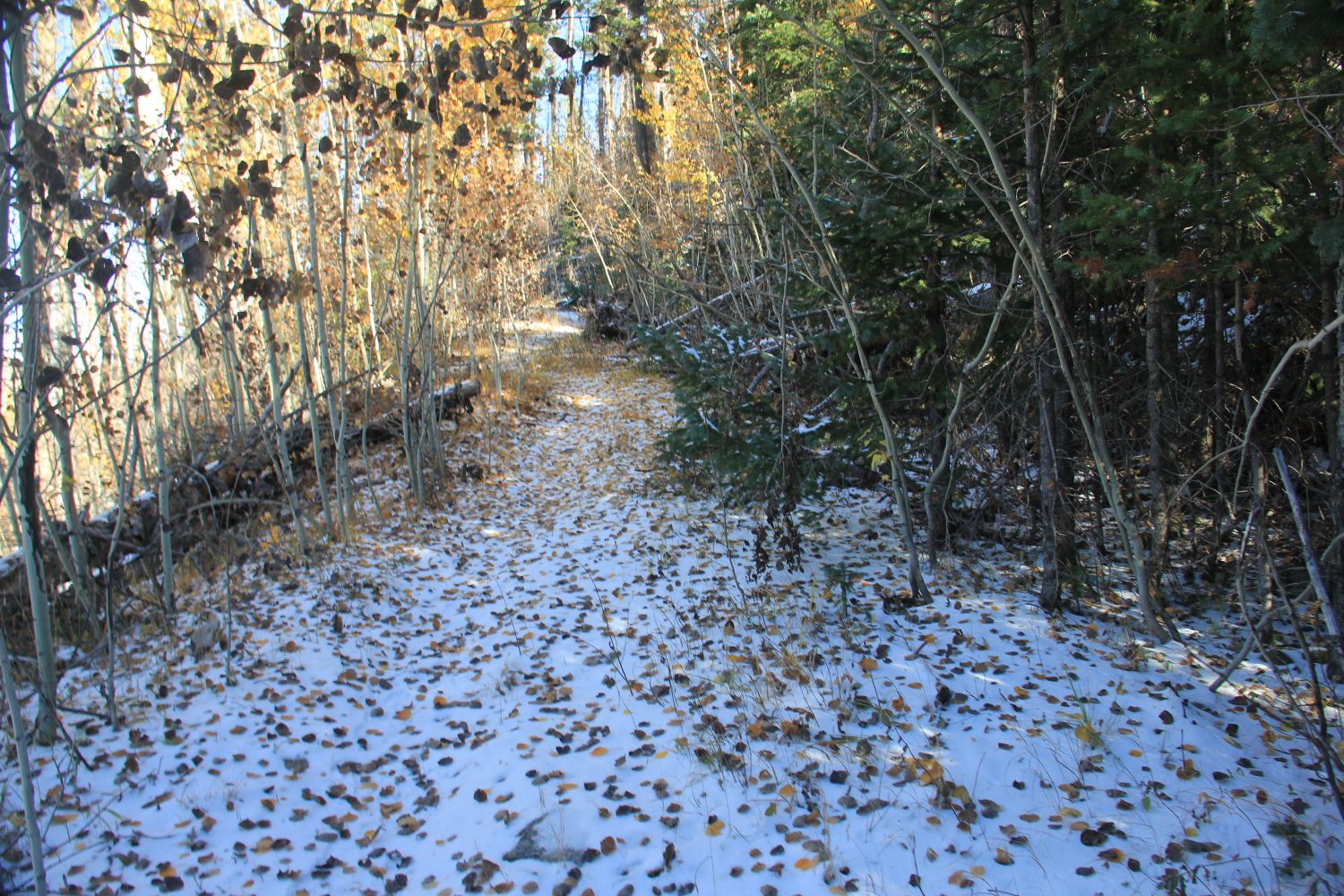 Valles Caldera National Preserve 